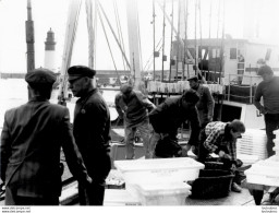 PORT DE PECHE LE GUILVINEC  BATEAUX DE PECHE ET PECHEURS PHOTO ORIGINALE  FORMAT 24X18CM ANNEES 60 R4 - Plaatsen