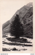 VALLEE DU LUTOUR  06/1952 MONTAGNE PHOTO  11X7CM - Lieux