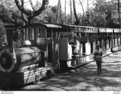 SAINT GEORGES D'OLERON BOYARDVILLE PETIT TRAIN PHOTOGRAPHIE ANONYME VINTAGE SNAPSHOT  PHOTO ARGENTIQUE 24X18 ANNEES 60 - Lieux