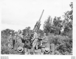 ARMEE ITALIENNE CANON ANTI AERIEN   PHOTO ORIGINALE 12X9CM R1 - Guerre, Militaire