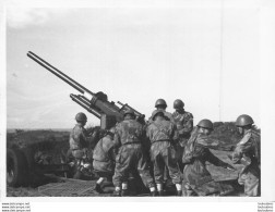 ARMEE ITALIENNE CANON ANTI AERIEN   PHOTO ORIGINALE 12X9CM - Guerre, Militaire