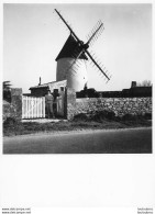 NOIRMOUTIER MOULIN PHOTOGRAPHIE ANONYME VINTAGE SNAPSHOT  PHOTO ARGENTIQUE 24X18CM ANNEES 60 S5 - Places