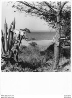 LES ISSAMBRES PHOTOGRAPHIE ANONYME VINTAGE SNAPSHOT  PHOTO ARGENTIQUE 24X18CM ANNEES 60 - Places