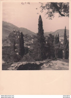 CORTE HAUTE CORSE PHOTO ORIGINALE 23 X 18 CM - Autres & Non Classés