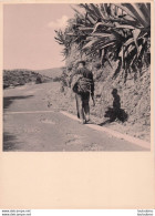 HOMME AVEC SON FAGOT DE PETIT BOIS PHOTOGRAPHIE ANONYME VINTAGE SNAPSHOT  PHOTO  24X18CM ANNEES 60 - Personnes Anonymes