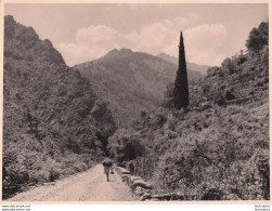 PAYSAGE DE CORSE ET RANDONNEUR PHOTOGRAPHIE ANONYME VINTAGE SNAPSHOT  PHOTO ARGENTIQUE 24X18CM ANNEES 60 - Lieux