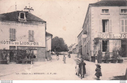 MESSIGNY HOTEL DU LION D'OR - Other & Unclassified