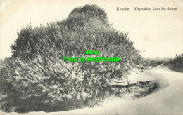 R598545 Knocke. Vegetation Dans Les Dunes - Welt