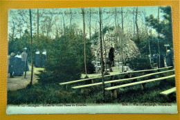 DEINZE  -  Pensionnat Des Soeurs De Saint-Vincent De Paul  -  Grotte De Notre Dame De Lourdes   -  1905 - Deinze