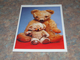 75291-      CA. 11,5 X 17 CM. CARD - BEREN / BEARS / BÄREN / OURS / ORSI / TEDDYBEARS - Ours