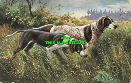 R595176 Hunting. Two Dogs In The Meadow. Ernest Nister. E. P. Dunton. Series 106 - Welt