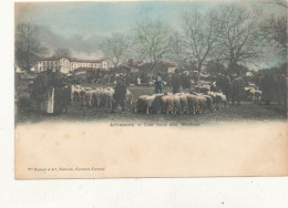 63 // AUVERGNE    Une Foire Aux Moutons   Edit Durand - Sonstige & Ohne Zuordnung