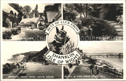 11774934 Shanklin Old Village The Chine Dunnose Point Beach Pier Dog Shanklin - Sonstige & Ohne Zuordnung