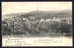 AK Bad Freienwalde A. O., Blick Vom Schlossgarten  - Bad Freienwalde