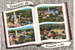 ***  50  ***  Souvenir De Bricqueville Sur Mer -- Timbrée TTB -- Livre Ouvert Multi-vues  - Andere & Zonder Classificatie