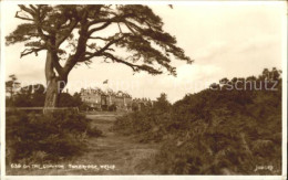 11774825 Tunbridge Wells On The Common Tunbridge Wells - Sonstige & Ohne Zuordnung