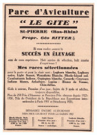 1932 - Publicité - Géo Ritter Aviculteur à Saint-Pierre (Bas-Rhin) - Publicités