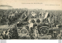 VENDANGES EN BEAUJOLAIS VIGNE VIGNOBLE COLLECTION LAMARSALLE - Other & Unclassified