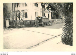 HALF  TRACK  AMERICAIN  WITHE ET SOLDATS ALGERIE  PHOTO ORIGINALE 9 X 6 CM Ref4 - War, Military