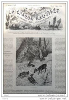 Rehe Mit Kitzen-  Chevreuil - Alter Stich 1884 - Gravure - Estampes & Gravures