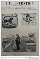 L´éxperiences De M. Pasteur Sur La Rage - M. Pasteur Dans Son Laboratoire - Page Original 1884 - Historical Documents