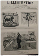 Les Expériences De M. Pasteur Sur La Rage - Chien - M. Pasteur Dans Son Laboratoire  - Page Original - 1884 - Documents Historiques