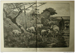Un Calvaire - Moutons - Tableau De M. Harri Thompson -  Page Original 1884 - Historische Dokumente