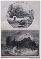 Château Et Fort De Saida, L'ancienne Sidon  - Rhazeh (Gaza) - Page Original - 1884 - Historische Dokumente