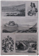 La France à Madagascar - Femme Betsimisarak - Tanan-Bé - Résidence Des Pères Jésuites - Page Original - 1884 - Documents Historiques