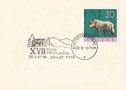 Poland Postmark D70.08.29 USTRZYKI DOL.05: Tourism Rally PTTK Bear - Entiers Postaux