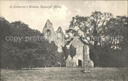 11774485 Dryburgh Abbey St Catherine's Window Ruines Grossbritannien - Autres & Non Classés