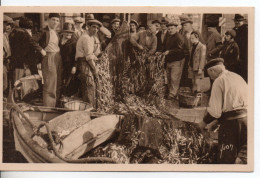 Carte Postale Ancienne Toulon - Retour De Pêche Aux Anchois - Poissons - Toulon