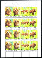 POLAND 1996 Michel No 3629 - 3632 Klbg MNH - Autres & Non Classés