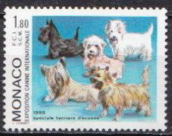 Monaco MNH Stamp - Honden