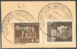 Nos 7 + 8, Obl Cad 17.02.44 Type III, Sur Petit Fragment. - TB. - R - War Stamps