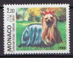 Monaco MNH Stamp - Dogs