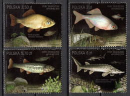 Poland 2006 Polonia / Fish Fishes MNH Poisson Fische Peces / Cu22102  27-9 - Fishes