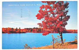 CPSM  9 X 14 Etats Unis USA (101) Wisconsin BOSCOBUL  Autumn Paints The Lakeside - Sonstige & Ohne Zuordnung