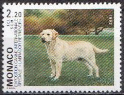 Monaco MNH Stamp - Chiens