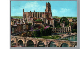 ALBI 81 - Le Pont Vieux Palais Archiepiscopal De La Berbie Jardin Terrasse Et Donjon Basilique Sainte Cecile - Albi