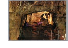 BAUMES LES MESSIEURS 39 - Les Grottes La Salle Du Catafalques Carte Vierge - Baume-les-Messieurs