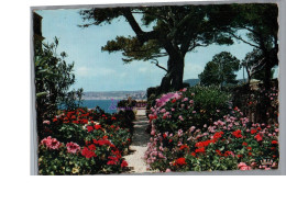 Reflets De La Côte D'Azur Les Jardins Fleuris Sur Les Bords De La Mediterranée  - Other & Unclassified