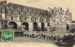 37 CHENONCEAUX LE CHATEAU LA FACADE ORIENTALE - Chenonceaux