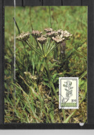 1993 - 1010 - Fleur - 32 - Maximumkarten (MC)