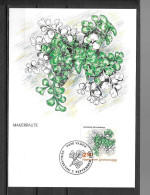 1992 - 989 - Fougères - 30 - Cartoline Maximum