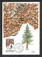 1986 - 855 - Arbre - Epicea - 18 - Cartes-Maximum (CM)