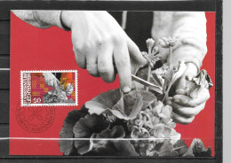 1982 - 744 - Homme Et Travail - Horticulture - 3 - Maximumkaarten