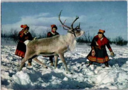 FINNMARK. -  Nord De La Norvège. - Lapons En Costumes  Et Rennes    Non Circulée. - Norway