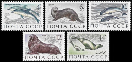 USSR / Russia 1971, Marine Mammals Dolphins - 5 V. MNH - Sonstige & Ohne Zuordnung