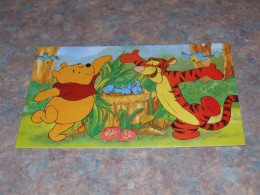 75301-          DISNEY, WINNIE THE POOH / UNUSED - Disneyworld